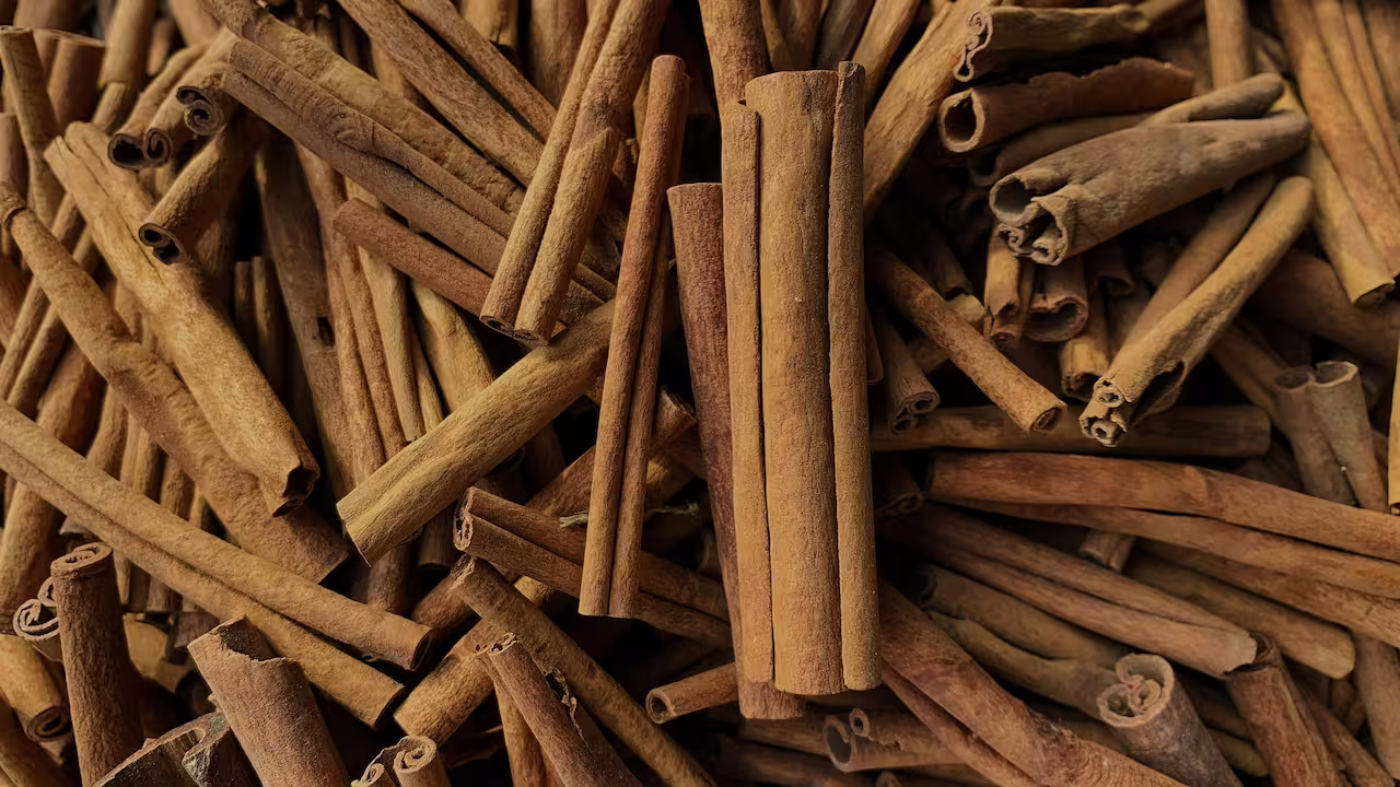 Several cinnamon sticks scattered on a surface, highlighting their rolled shape, rough texture and warm brown tones